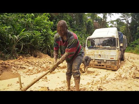 Видео: Гвинея Конакри: Жизнь на грани | Самые смертельные путешествия