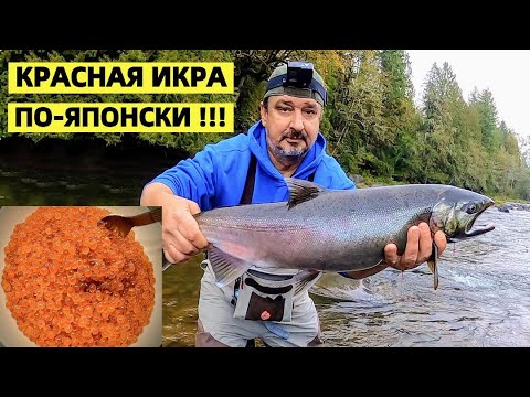 Видео: "ИКУРА" - ЯПОНСКИЙ РЕЦЕПТ КРАСНОЙ ИКРЫ. ЛОВЛЮ ЛОСОСЬ КИЖУЧ И ДЕЛАЮ КРАСНУЮ ИКРУ. РЫБАЛКА В США.