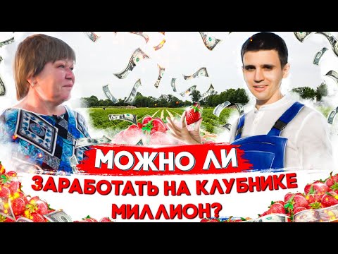 Видео: Можно Ли Заработать на Клубнике Миллион? Самая Сладкая Клубника в Калининграде!