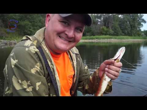Видео: Первая щука на ультралайт, кабаны и живописное озеро!!! Рыбалка в Михайловском районе