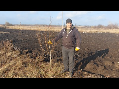 Видео: Придётся убрать. Всех переселили.