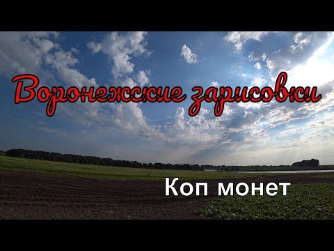 Видео: Воронежские зарисовки коп монет 2019 фильм 1 коп в Воронеже