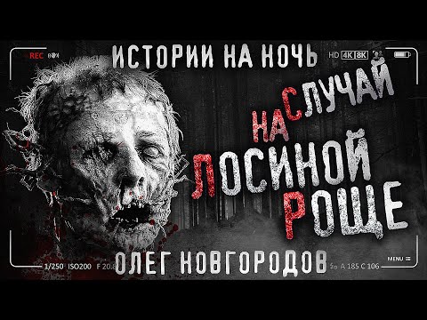 Видео: СЛУЧАЙ НА ЛОСИНОЙ РОЩЕ. Страшные истории на ночь. Опольцево. Петля