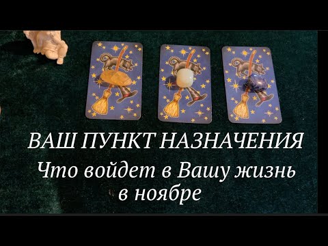 Видео: Ноябрь🍁🍂Что войдет в Вашу жизнь 🍁Что потеряет Смысл✅ КартыТ аро/ Гадание на Судьбу/Гадание онлайн