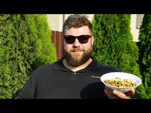 Видео: Жареные мидии. Лучшая закуска к пиву.