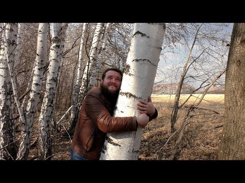 Видео: Самогон на БЕРЕЗОВОМ соке