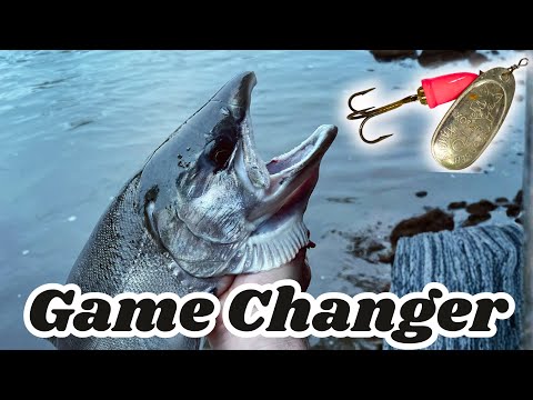 Видео: НИКОГДА БОЛЬШЕ НЕ ЛОВИТЕ ЛОВЛЮ НА БЛЕСТЯЩУЮ ЛОВЛЮ BLUEFOX ТАК ЖЕ!