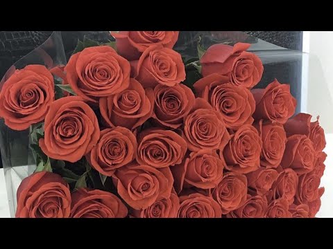 Видео: Прямой эфир от 7 декабря 2020 г Ирэна Вартик @irenvartiklive