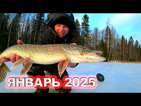 Видео: НАШЁЛ В ЛЕСУ ОЗЕРО С ГОЛОДНОЙ РЫБОЙ И ОБАЛДЕЛ! Рыбалка в январе 2025 на жерлицы и мормышку.