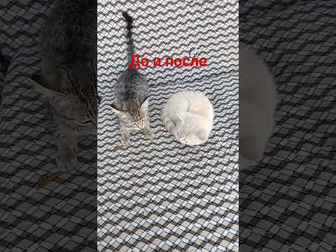 Видео: 21 сентября 2025 г.