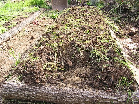 Видео: ПРАВИЛЬНЫЙ  ГРУНТ ДЛЯ РАССАДЫ