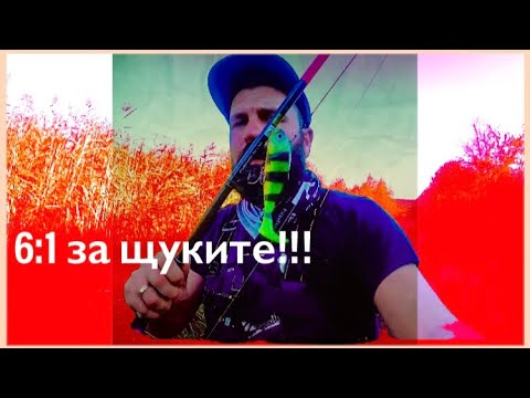 Видео: Отмъщението на щуките!!!