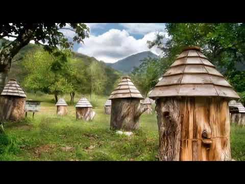 Видео: Звуки лета,  звуки пчел, летняя пасека 5 часов