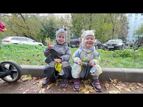 Видео: Череда наших дней