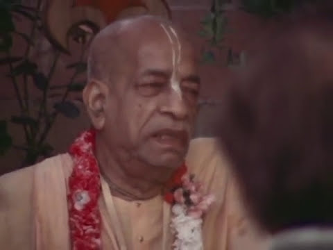 Видео: Прабхупада о Любви