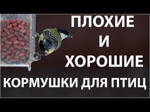 Видео: Хорошие и плохие кормушки для птиц. Конкурсы. Новинка Арт Кормушки - Арт Омега для кормления в холод