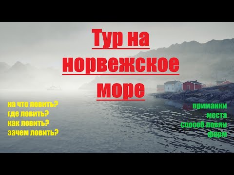 Видео: Тур на Норвежское море рр4