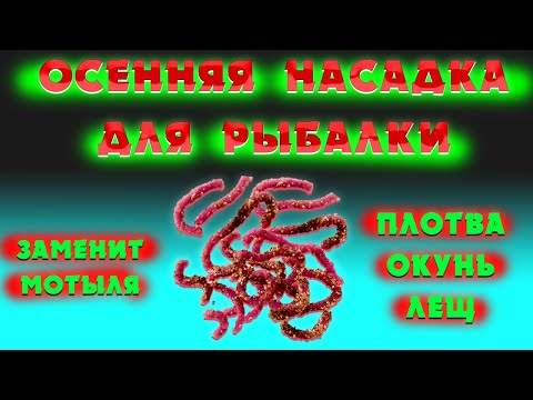 Видео: Лови всю осень МНОГО РЫБЫ. НАСАДКА ДЛЯ РЫБАЛКИ ОСЕНЬЮ И ЗИМОЙ.