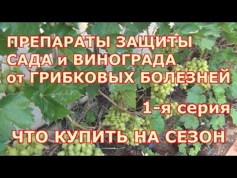 Видео: 1-я серия. ПРЕПАРАТЫ ЗАЩИТЫ САДА и ВИНОГРАДА  от БОЛЕЗНЕЙ. ЧТО КУПИТЬ НА СЕЗОН.