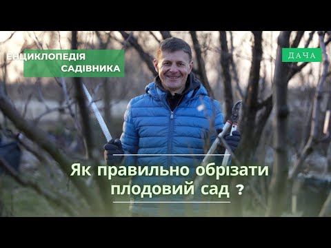 Видео: Обрізка Плодового Саду. Відповіді На Питання. Частина 2. Як Правильно Обрізати Плодовий Сад?