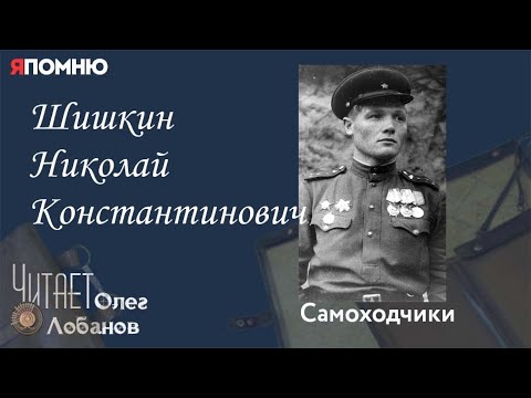 Видео: Шишкин Николай Константинович. Проект "Я помню" Артема Драбкина. Самоходчики