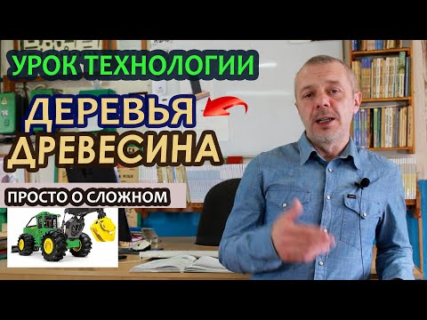 Видео: Дистанционный урок по ТЕХНОЛОГИИ. Дерево и древесина.