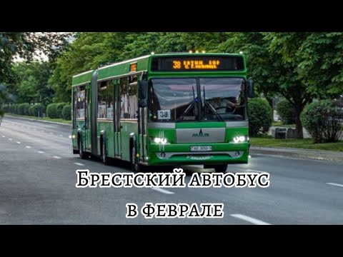 Видео: Брестский автобус в начале-середине февраля