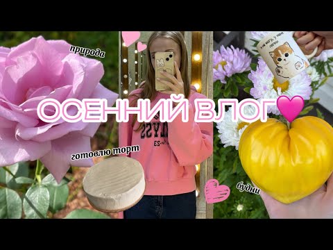 Видео: большой осенний влог🍁| делаю ТОРТ | покупки🛒 | мои будни