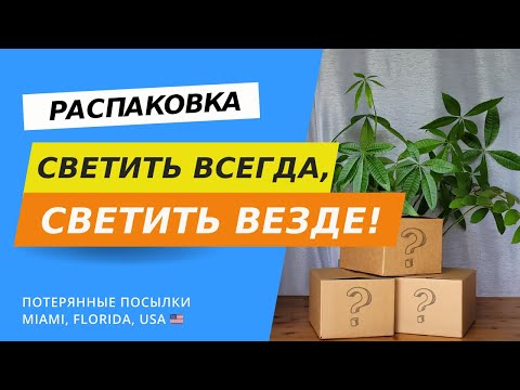 Видео: Неожиданно дорогая находка! Распаковка и обзор потерянных посылок в США, Флорида.