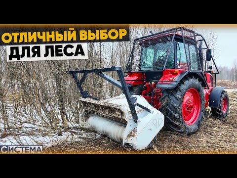 Видео: МТЗ-2022 с МУЛЬЧЕРОМ. 200 СИЛ КРУШАТ ДЕРЕВЬЯ.