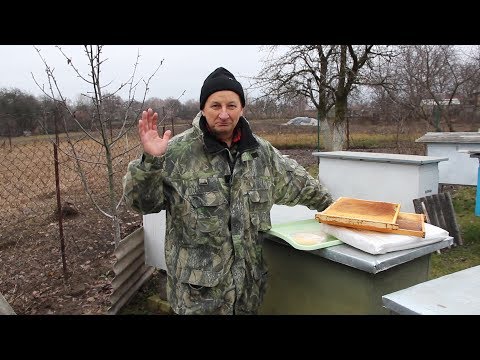 Видео: Раздача канди | Зимовка пчел | Зимняя подкормка