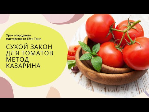 Видео: 762. Сухой закон для томатов. Метод Казарина.