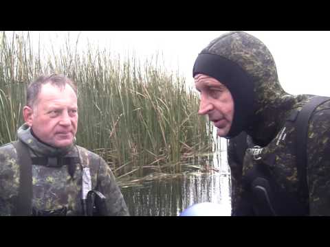 Видео: Подводная охота в камышах