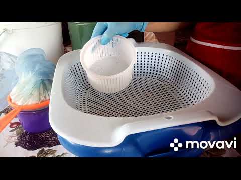 Видео: новый сыр