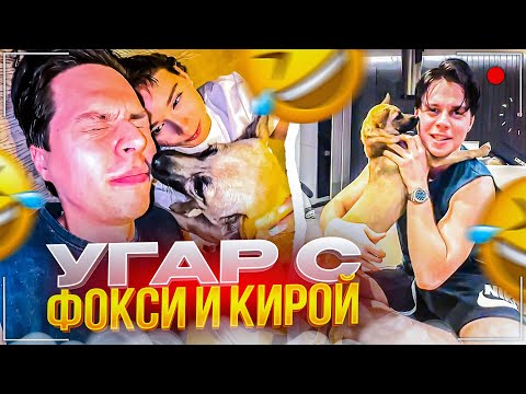 Видео: ФРАМЕ ТАМЕР СТАЛ СОБАЧНИКОМ | КУДА ПРОПАЛ ФРАМЕ ТАМЕР?