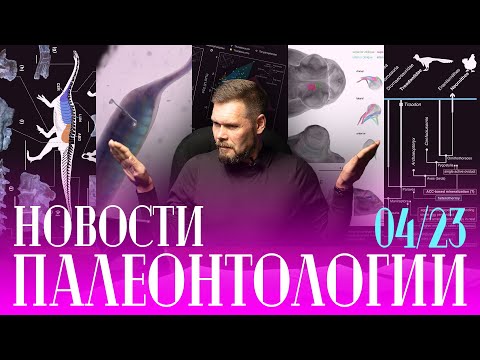 Видео: Динозавру измерили температуру | Илистые прыгуны моргают | Туллимонстр - не позвоночное