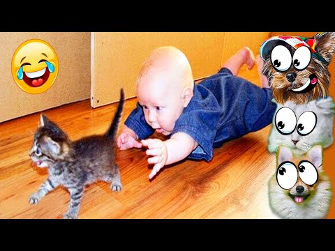 Видео: Я тебя СЪЕМ! ПРИКОЛЫ с ЖИВОТНЫМИ в ТИКТОК! Не ЗАСМЕЙСЯ ЧЕЛЕНДЖ ХиХи Funny Animals Валеришка Макс