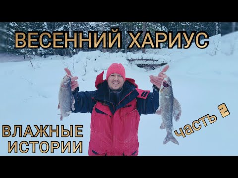 Видео: ВЕСЕНИЙ ХАРИУС. Влажные истории ч.2. Таежные приключения и рыбалка. Изба в тайге. Снегоход Тайга.