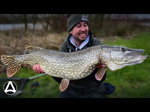 Видео: Эпизод 9. Ловля крупной щуки (на мёртвую наживку)