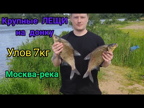 Видео: Крупные лещи/Утренний клёв на Москве - реке/Донная ловля.