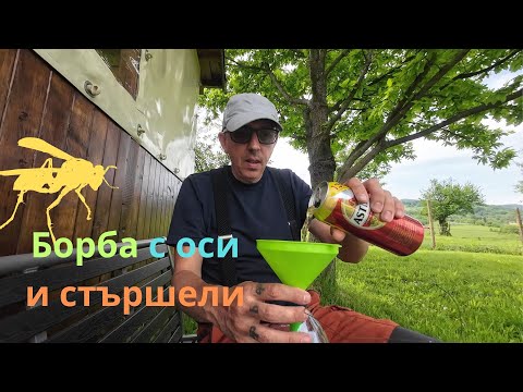 Видео: Борба с оси и стършели