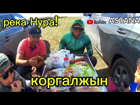 Видео: Летняя рыбалка на реке нура.Рыбалка на донку.Караси как на подбор.River fishing Kazakhstan.