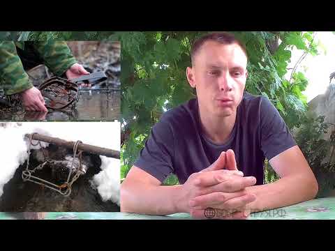 Видео: Всё о бобровой струе (all about the beaver jet)!