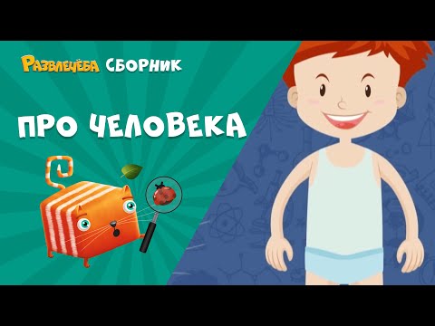 Видео: Развлечёба. Окружающий мир. Сборник про человека
