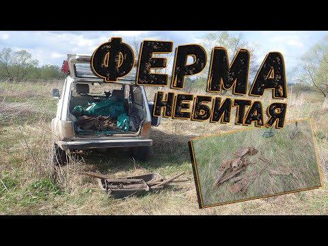 Видео: Говорят металла больше не осталось. А если проверить самому?