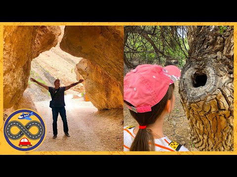 Видео: Красота Казахстана: Чарынский каньон, горячие источники в Чундже и реликтовая ясеневая роща