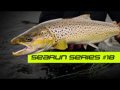 Видео: Серия SEARUN - Эпизод 18 - Windy Team Up