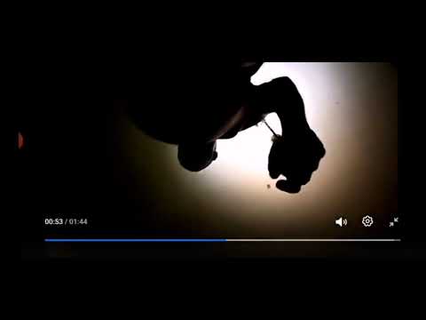 Видео: АНДРЮХА ДРУИД 888 _071125