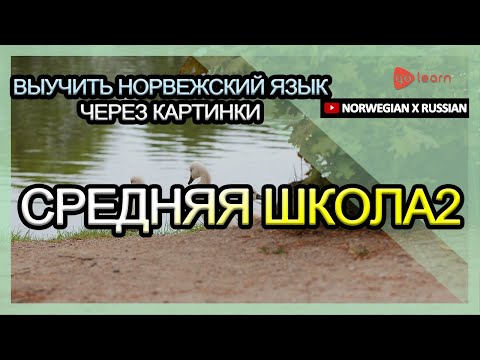 Видео: Выучить норвежский язык через картинки |норвежский язык словарь средняя школа2 | Golearn