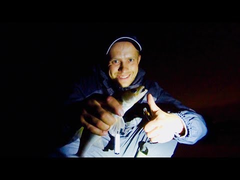 Видео: Рыбалка, судак на воблер с AliExpress MR Charles